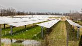 Utility-scale solar farm proposals cause turmoil in Livingston County