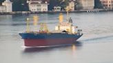 Cargo Ship Enters Danube Despite Russia's Black Sea Shipping Threat