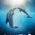 Dolphin Tale 2