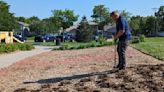 New Trolley Park pollinator garden aims to bring back native insects and bees