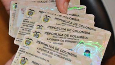 Licencia de conducción en Bogotá: ¿Qué hacer en caso de pérdida o robo?