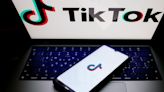 Senate Passes Bill That Could Ban TikTok In The U.S., Sends To Biden