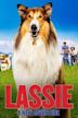 Lassie - A New Adventure