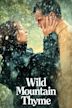 Wild Mountain Thyme (film)