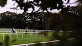 BHA concludes Newton Abbot fatalities due to ‘unique circumstances’