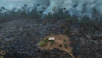 Na fronteira da devastação, fogo cerca famílias e desaparecimento de lago deixa comunidades ilhadas | Mudanças climáticas na Amazônia - Ambiente - Folha de S.Paulo