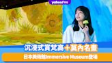 日本旅遊｜沉浸式體驗美術館Immersive Museum！東京/大阪/福岡都有得睇360度梵高＋莫內名畫