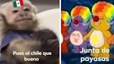 México perdió contra Venezuela en Copa América y la afición estalló con memes