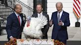 2023 turkey pardoning: Joe Biden exonerates 'Liberty,' 'Bell' in Thanksgiving tradition