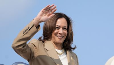 Kamala Harris gets good sign in swing states, new poll shows