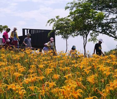 颱風重創花蓮觀光 李孟諺：自由行補助延長、國際團3至5萬元