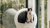 I Finally Tried the Litter-Robot, and It Made It Seem Like I Don’t Even Own Two Cats in a Tiny NYC Apartment