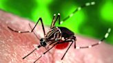 Rising temperatures fuel dengue, chikungunya surge