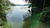 Westchester health department shuts down 2 Mohegan Lake beaches due to harmful algae