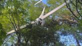 84-year-old man rescued from tree after glider crashes in New Hampshire