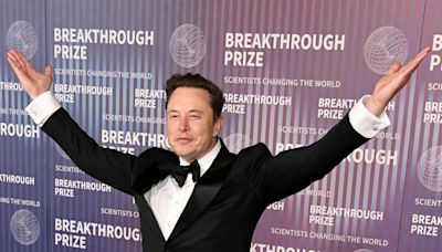 Elon Musk mocked for red carpet posing: ‘Looks like The Sims’