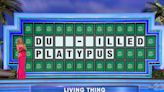 Wheel of Fortune player loses $8k over ‘painful’ miss on 'clear-cut' puzzle