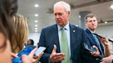 Ron Johnson claims failed border bill was ‘political ploy’ for Schumer