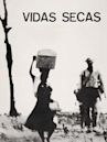 Vidas secas (film)