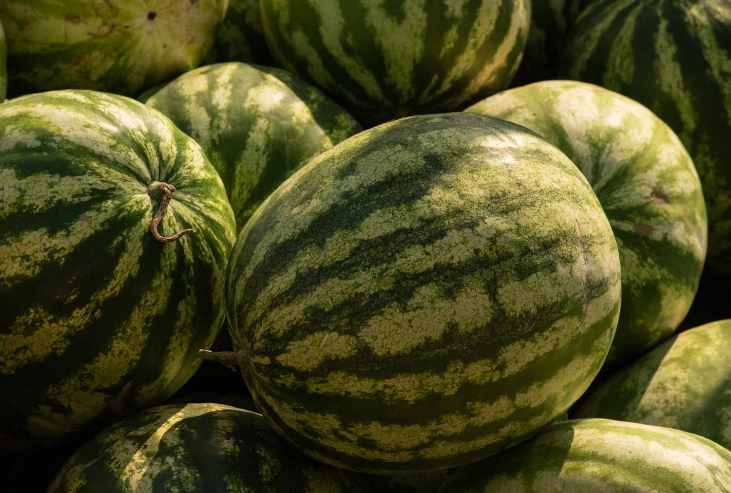 Here’s How to Pick a Juicy, Perfectly Ripe Watermelon