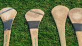 Laois minor hurlers advance from group thanks to six-point win over Carlow