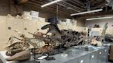 Paul Sereno’s Fossil Lab moves to Washington Park