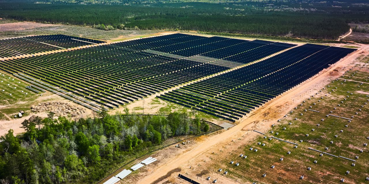 The Solar Boom is a Bonanza for Southern Timberland Owners