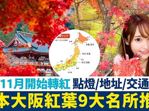 大阪紅葉2024 9大賞楓名所推介＋紅葉時間表