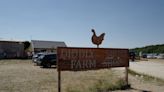 Jeremy Clarkson's Diddly Squat Farm restaurant forced to close