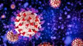 2022 Year in Review: The 10 most-searched viruses on Yahoo Canada