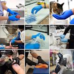手套愛馬斯一次性乳膠丁腈加厚實驗室廚房工廠無粉食品級防護手套進口