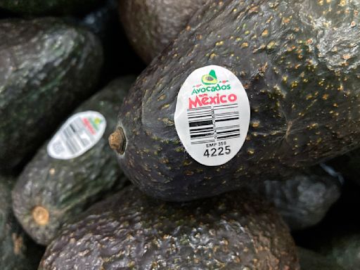 El lío entre México y EEUU en la inspección de aguacates que costó 7 millones de dólares diarios