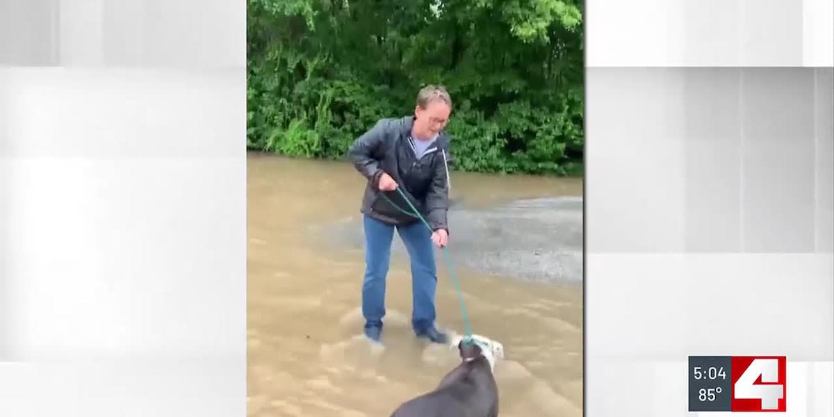 Volunteers credited with saving more than 50 dogs from rising flood waters inside St. Clair County Animal Shelter