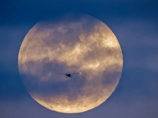 La Luna alcanza su apogeo este viernes: por qué sucede y cómo se verá en el cielo - Diario Río Negro