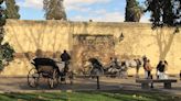 El Colegio de Doctores en Filosofía pide crear una sede del Arqueológico en la antigua biblioteca provincial