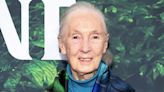 Jane Goodall Celebrates Turning 90 with a Message About Animals: 'The Gift I Want to Give'