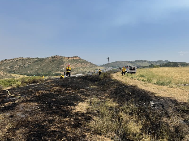 Electrocuted bird falls to ground, sparks brush fire in Colorado