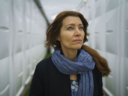 Elif Shafak: ‘A graphic novel of A Tale of Two Cities opened up another world and I never looked back’