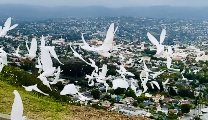 Memorial Day Ceremony to honor fallen heroes with 150 doves in Santa Barbara