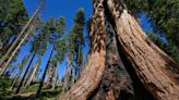 These are the 10 most polluted national parks, from Sequoia to Yosemite, new report details