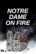 Notre Dame on Fire