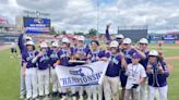 Aces wild, speed demons, and more: Cape Cod High School Baseball All-Scholastic Team