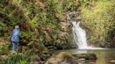 Two of the world's best gardens are in North Wales - including one 'hidden' site