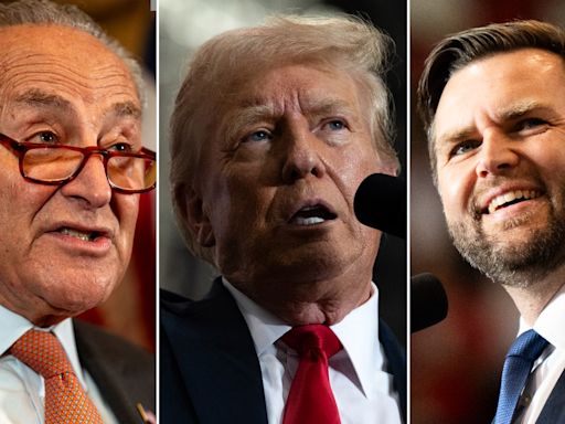 Schumer calls on Trump to pick new running mate, claims Vance is 'best thing he's ever done for Democrats'
