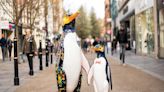 Penguin sculptures enjoy further sponsorship ahead of summer art trail