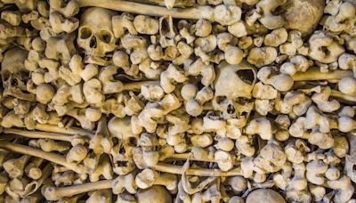 Chine : Des corps volés pour en faire des greffons… Un trafic de près de 4.000 cadavres démantelé