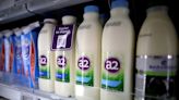 Antipodean dairy firms eye baby food supply to U.S. after Bubs Australia nod