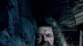 Robbie Coltrane: a free-styling talent suffused with intelligence and humour