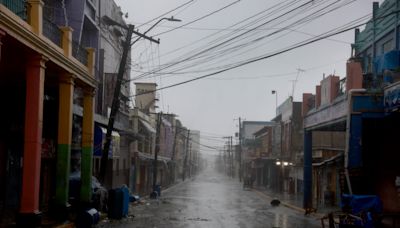 Video of dogs trapped on floating debris during Hurricane Beryl goes viral