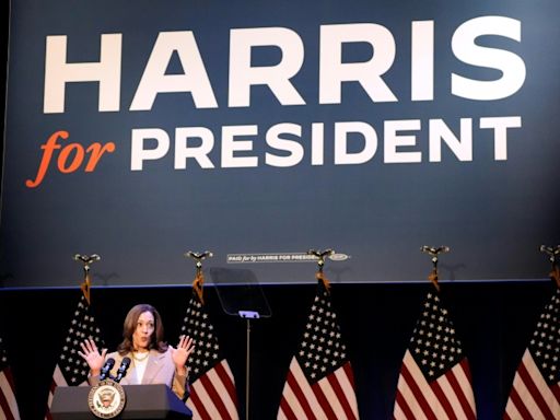 Trump, Harris hone attack lines as US election 100-day mark arrives